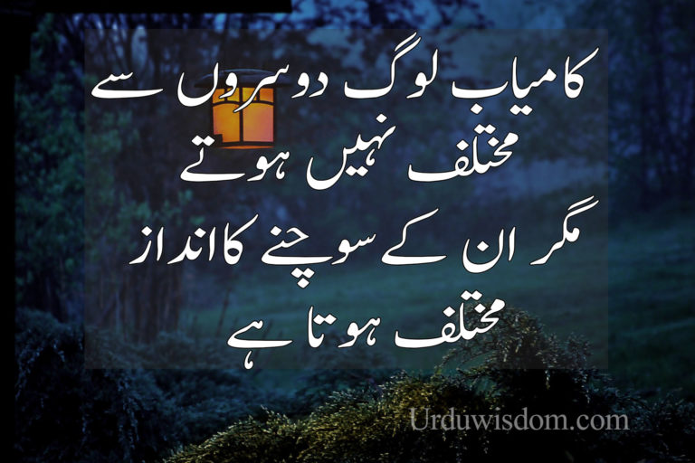 Featured image of post Success Inspiration Personality Urdu Quotes On Zindagi / ♥my personal urdu quotes &amp; urdu poetry♥.