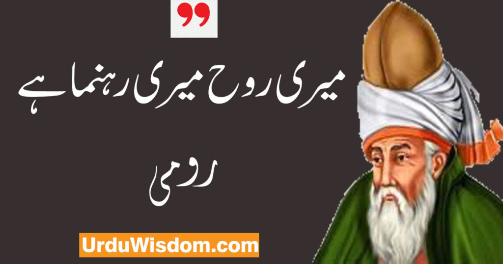Rumi quotes in urdu