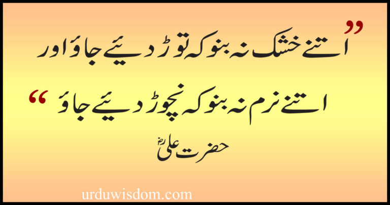 imam ali quotes in urdu