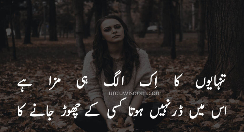 Poetry in Urdu: Love Poetry in Urdu | Romantic Shayari 6