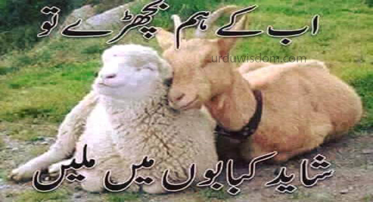 50 Best Eid Mubarak Wishes In Urdu 2022 16