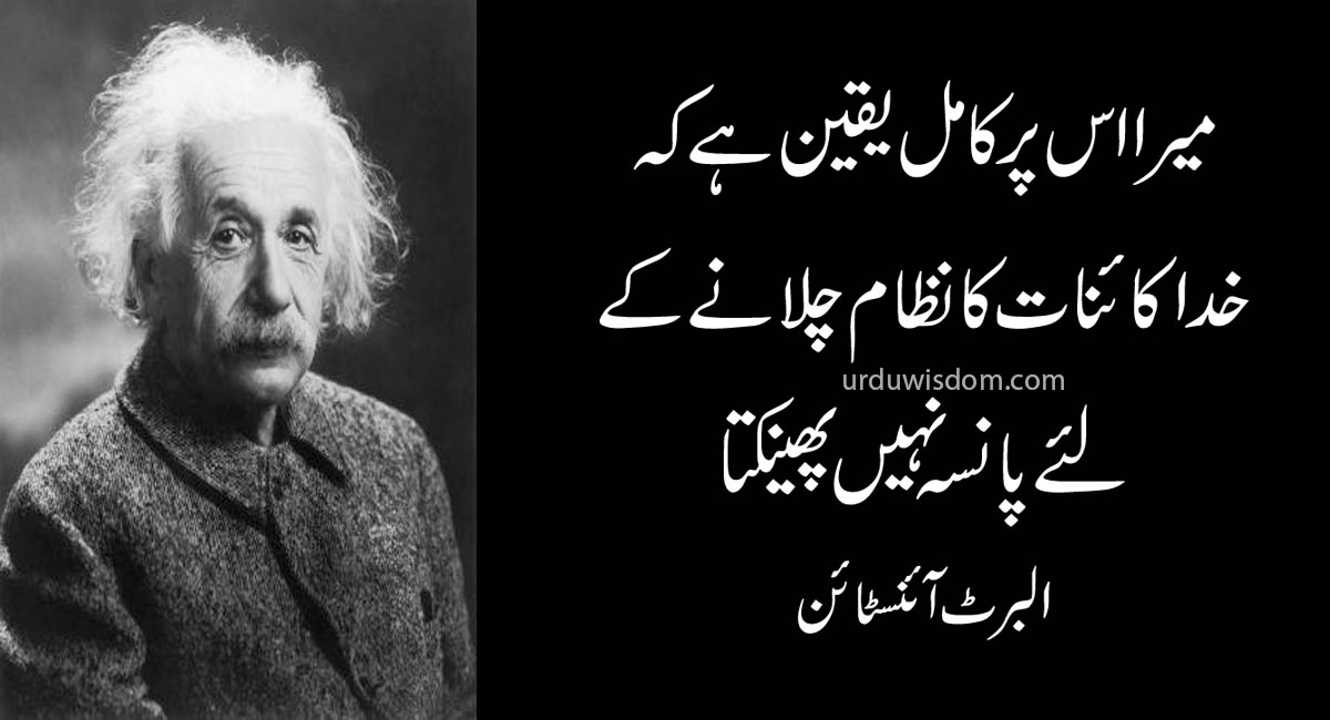 Top 20 Albert Einstein Quotes In Urdu 6