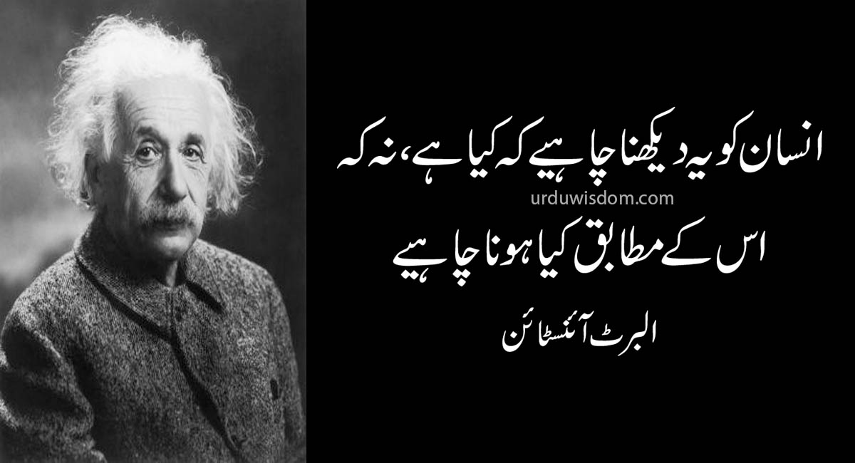 Top 20 Albert Einstein Quotes In Urdu 8