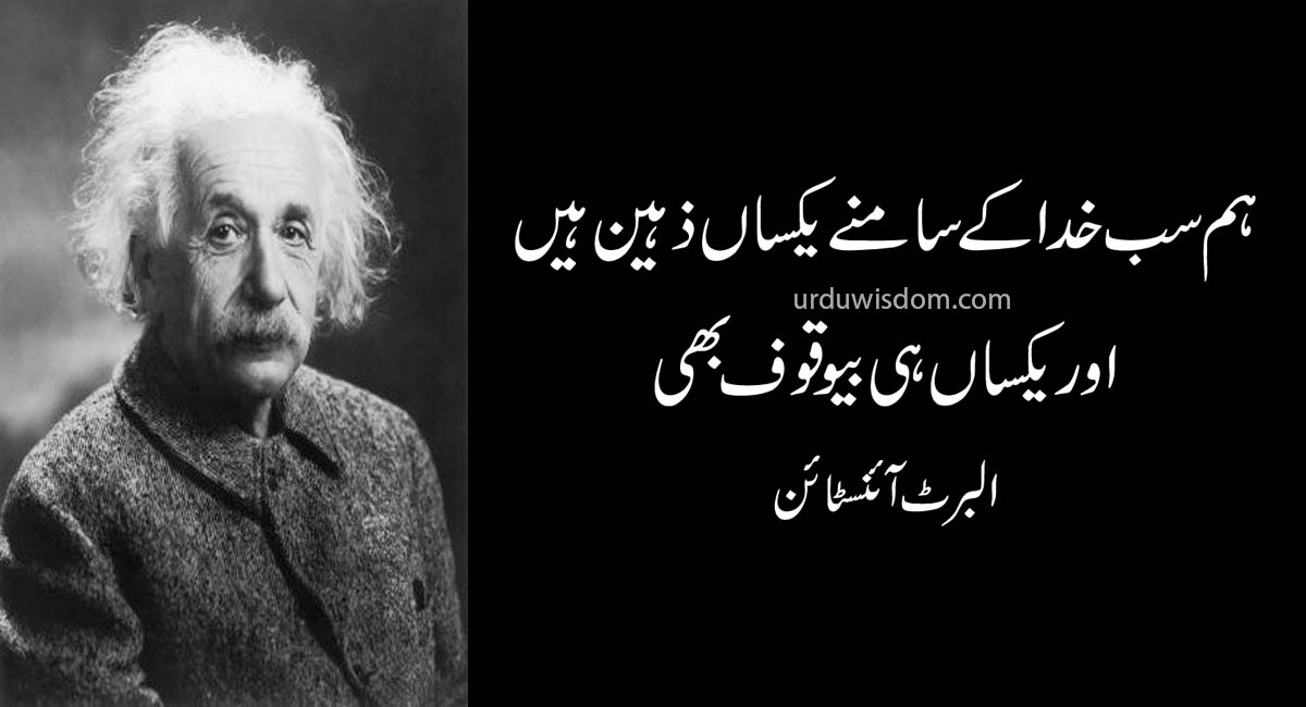 Top 20 Albert Einstein Quotes In Urdu 10