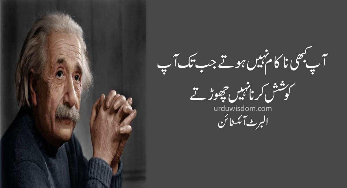 Einstein Quotes In Urdu