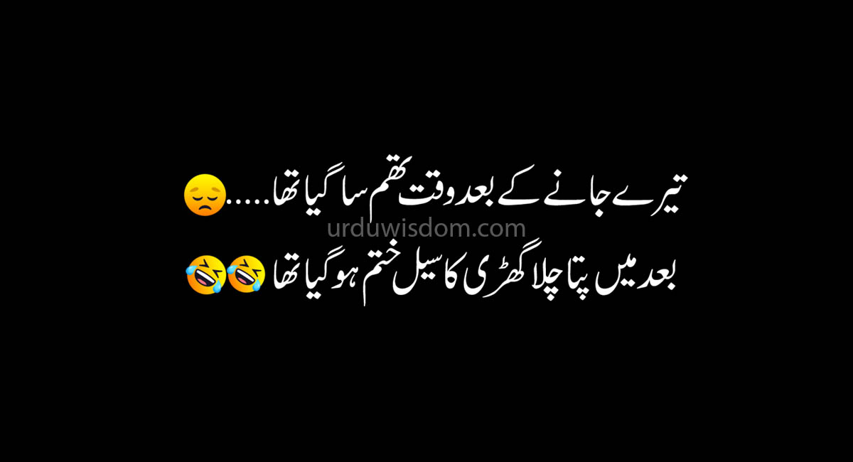 Best Funny Jokes In Urdu-Funny Quotes 2020 - Urdu Wisdom