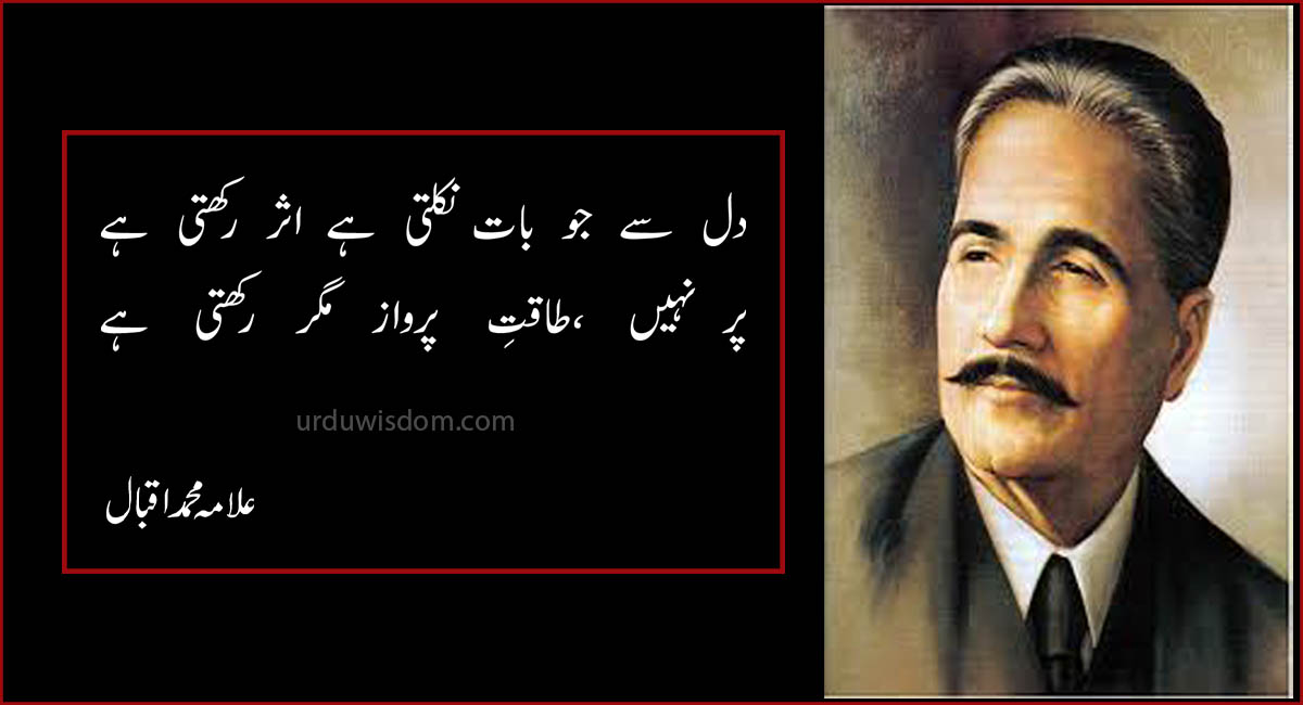 my favorite poet allama iqbal essay in urdu