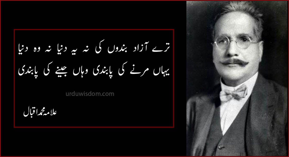 100 Best Allama Iqbal Poetry In Urdu | Allama Iqbal Poetry in Urdu for students 5