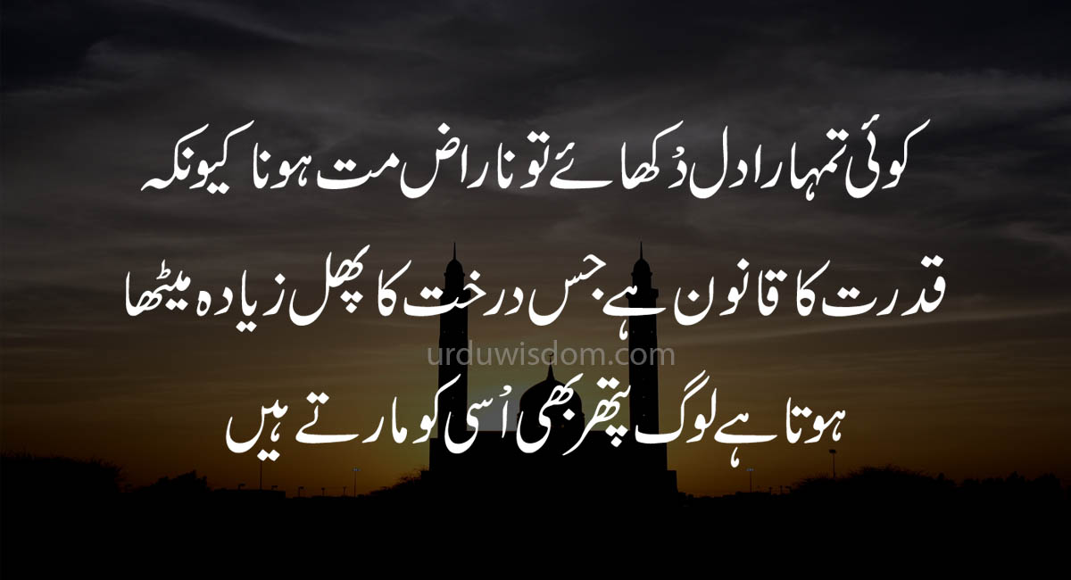 islamic quotes in Urdu