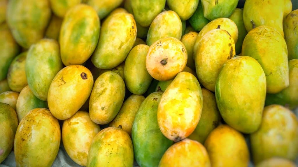 different-types-of-mangoes-in-pakistan-urdu-wisdom