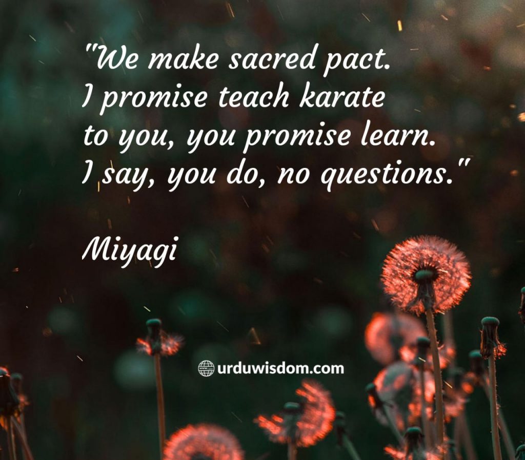 30 Best Karate Kid Quotes - Mr. Miyagi Quotes 1