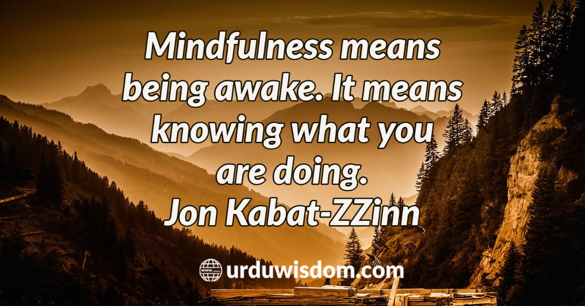 Mindfulness Quotes