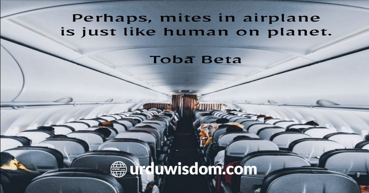50 Best Airplane Quotes 1